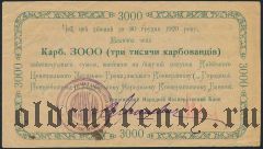 Киев, Украинский Нар. Кооп. Банк, 3000 карбованцев 1920 года