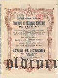 Саратовский трамвай и электричество, дивидентная акция