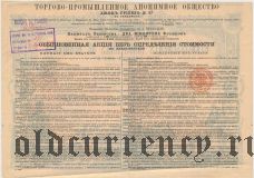 Торгово-промышленное акционерное общ. Джонъ Гриевзъ и Ко в Бердянске, ординарная акция